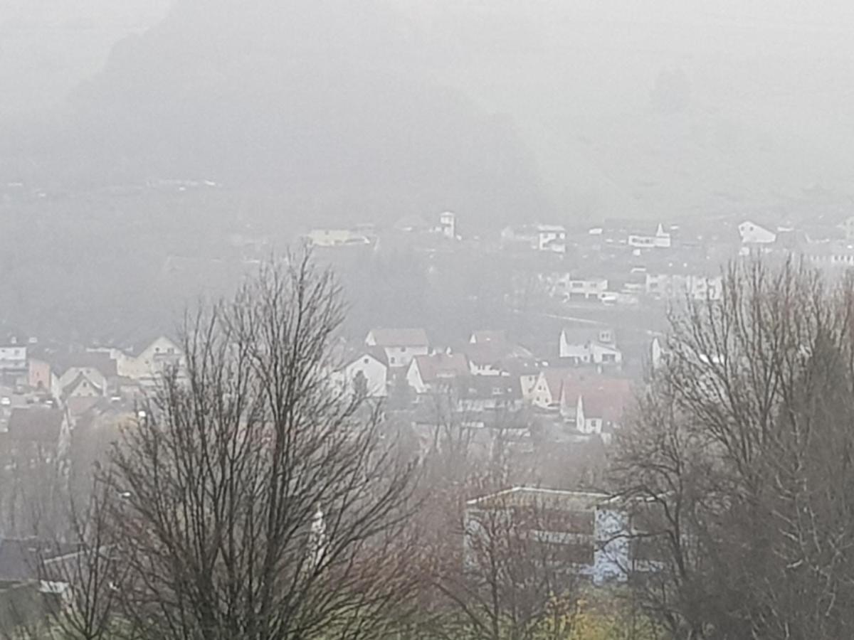 Ferienwohnung "Hagebutze" Mit Sauna Und Schwimmbad Bad Lauterberg Esterno foto