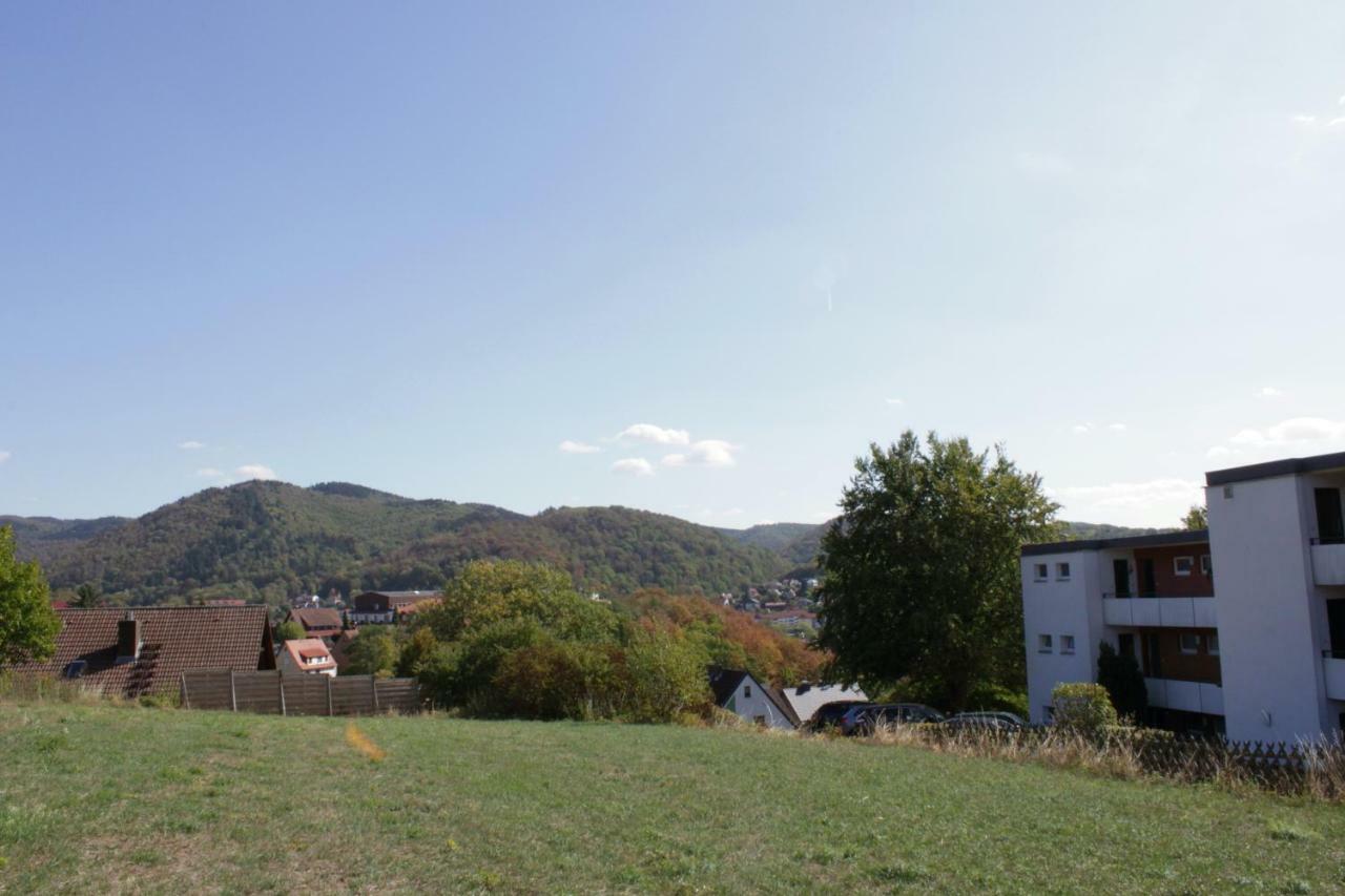 Ferienwohnung "Hagebutze" Mit Sauna Und Schwimmbad Bad Lauterberg Esterno foto