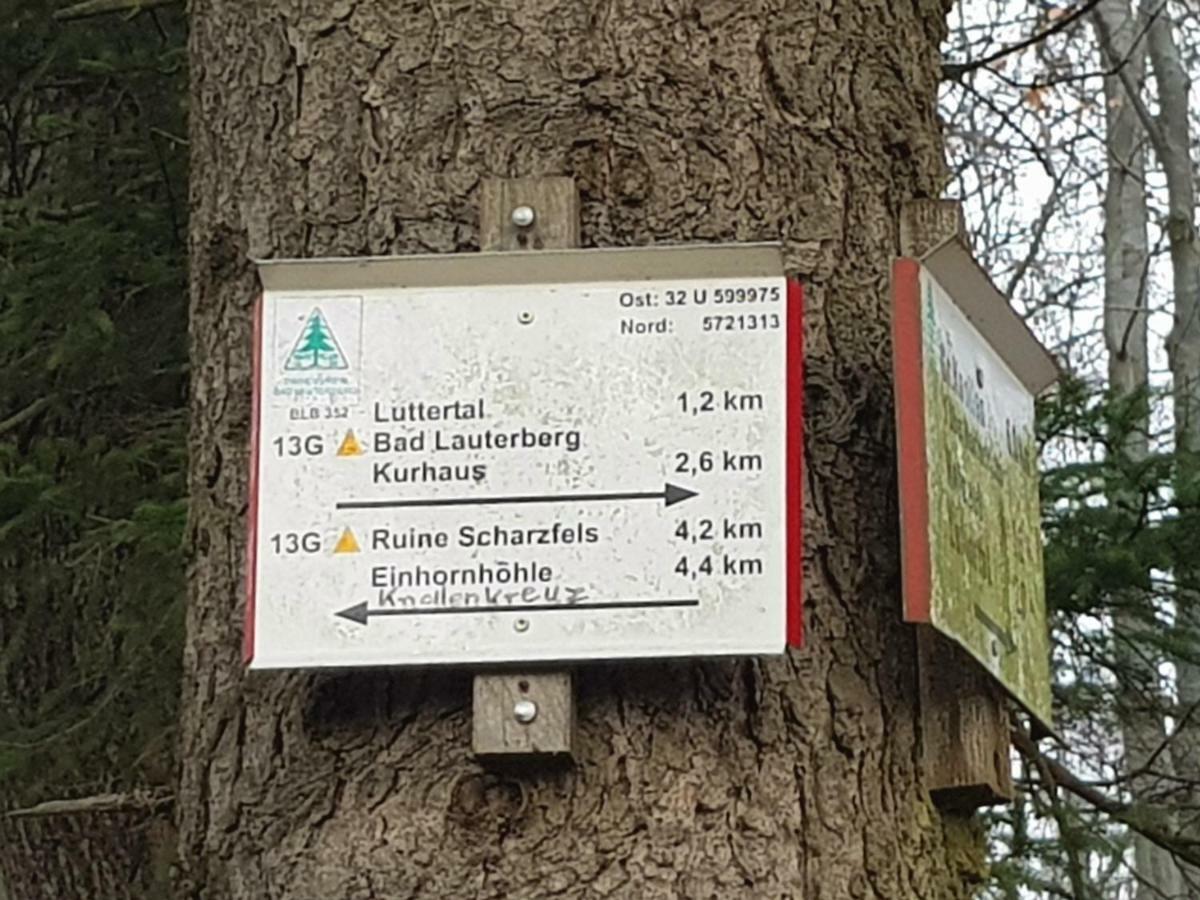 Ferienwohnung "Hagebutze" Mit Sauna Und Schwimmbad Bad Lauterberg Esterno foto