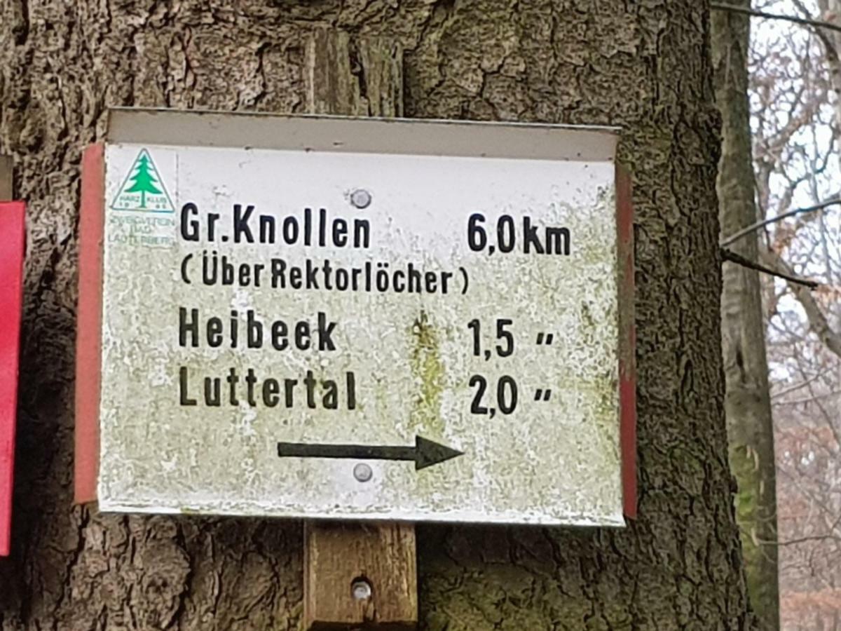 Ferienwohnung "Hagebutze" Mit Sauna Und Schwimmbad Bad Lauterberg Esterno foto